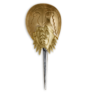 Horseshoe Crab Pin/Pendant - Large