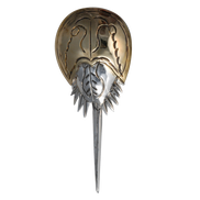 Horseshoe Crab Pin/Pendant - LG