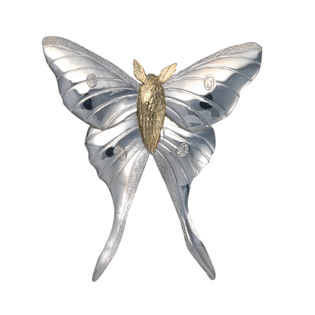 Luna Moth Pin/Pendant - 2" SS/14K GOLD