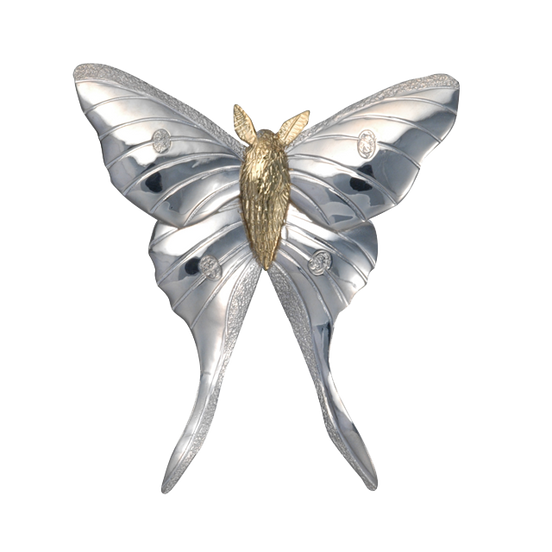 Luna Moth Pin/Pendant - 2" SS/14K GOLD