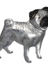 Pug