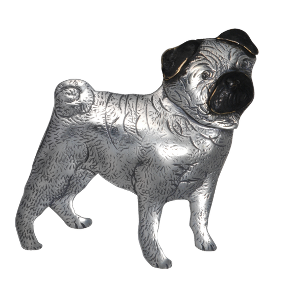 Pug