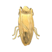 Palmetto Bug Pin