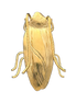 Palmetto Bug Pin