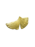 Ginkgo Pin/Pendant - 1.75" Width
