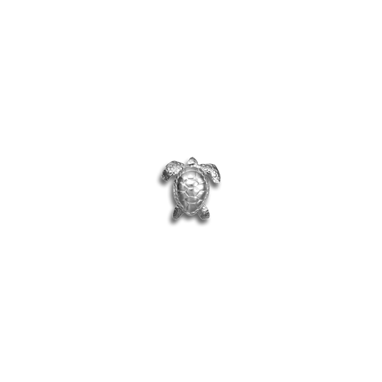 Tiny Sea Turtle