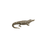 Alligator Pin