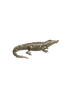 Alligator Pin