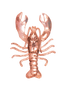 Lobster Pin/Pendant