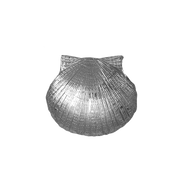 Scallop Shell Pin/Pendant - MD