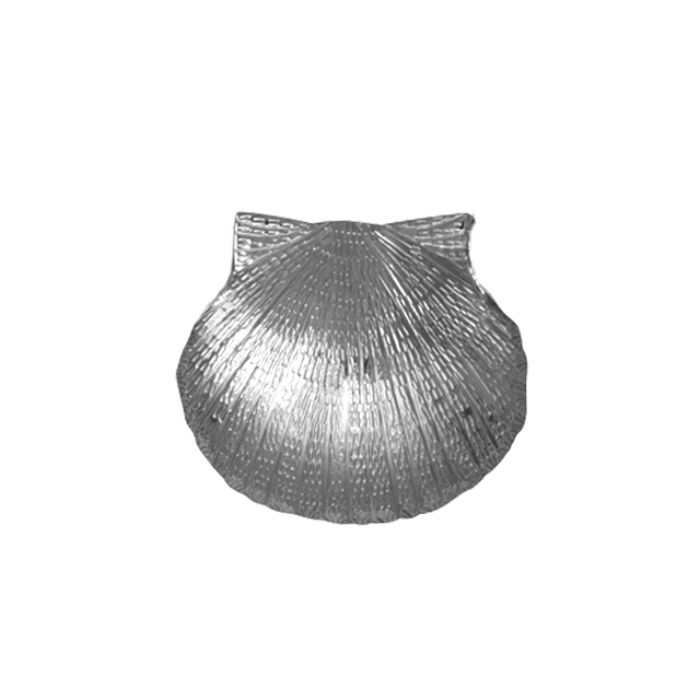 Scallop Shell Pin/Pendant - MD