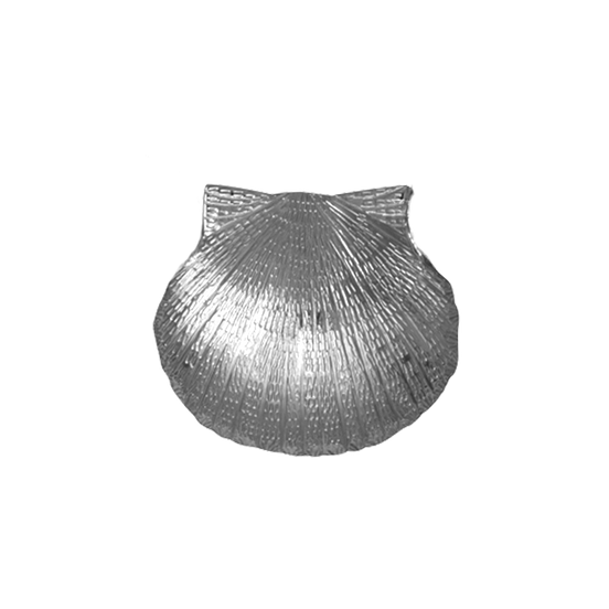 Scallop Shell Pin/Pendant - MD