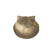Scallop Shell Pin/Pendant - MD