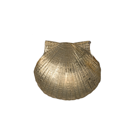 Scallop Shell Pin/Pendant - MD