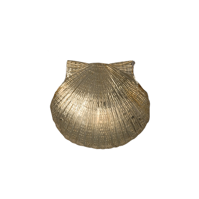 Scallop Shell Pin/Pendant - MD