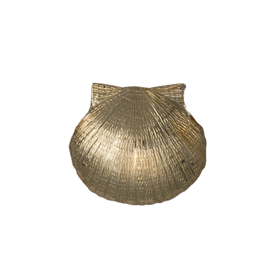 Scallop Shell Pin/Pendant - MD
