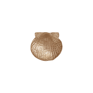 Scallop Shell Pin/Pendant - SM