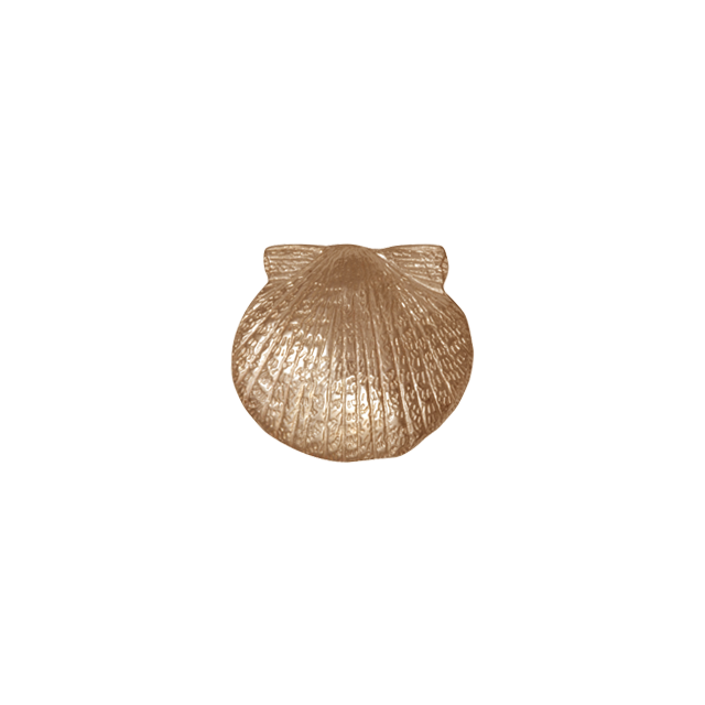 Scallop Shell Pin/Pendant - SM