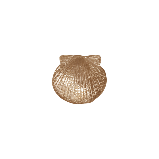 Scallop Shell Pin/Pendant - SM