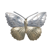 Hackberry Butterfly Pin/Pendant - 2.25