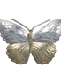 Hackberry Butterfly Pin/Pendant - 2.25"