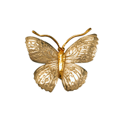 Spangled Butterfly Pin/Pendant - 1.4