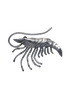 Shrimp Pin
