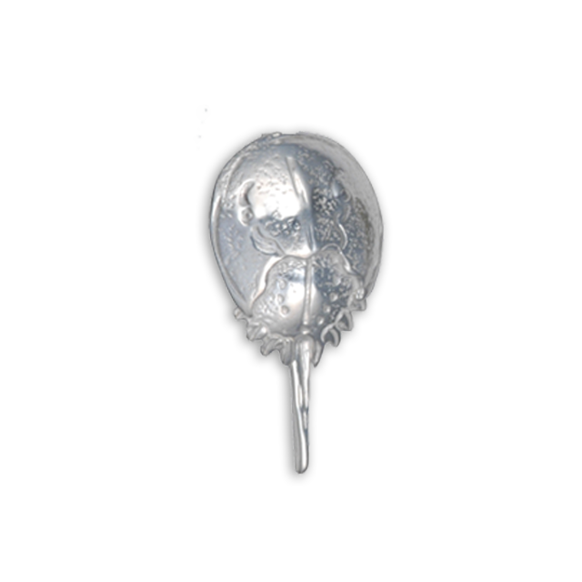 Horseshoe Crab Pin- SM
