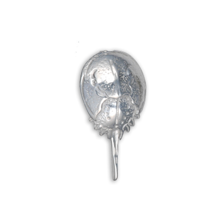 Horseshoe Crab Pin- SM