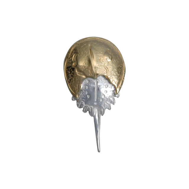 Horseshoe Crab Pin- SM