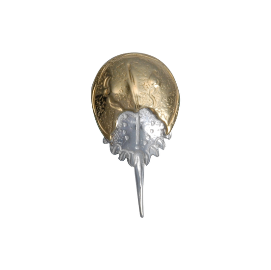 Horseshoe Crab Pin- SM