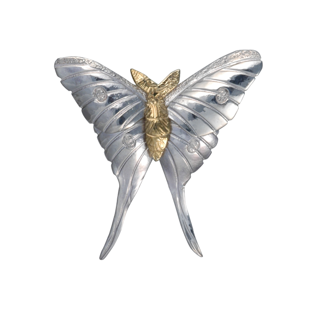 Luna Moth Pin/Pendant - 2" SS/GP