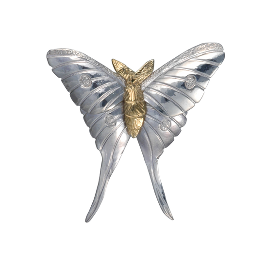 Luna Moth Pin/Pendant - 2" SS/GP