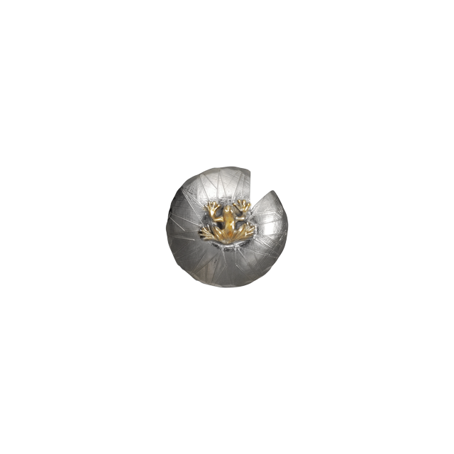 Frog on Lily Pad Pin/Pendant