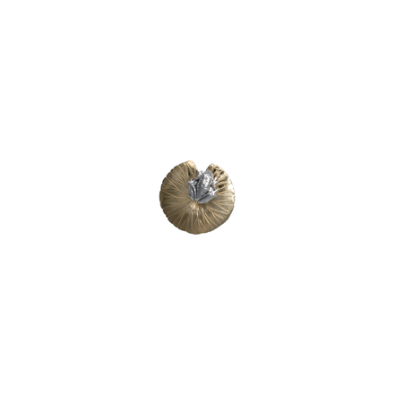 Frog on Lily Pad Pin/Pendant
