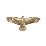 Red-Tail Hawk Pin/Pendant