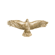Red-Tail Hawk Pin/Pendant