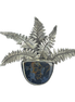 Fern Leaves with Pietersite Pin/Pendant: SS
